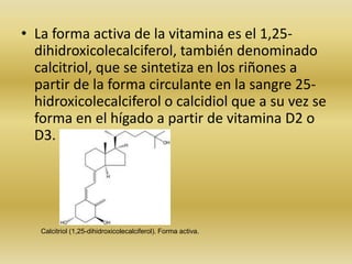 • La forma activa de la vitamina es el 1,25-
  dihidroxicolecalciferol, también denominado
  calcitriol, que se sintetiza en los riñones a
  partir de la forma circulante en la sangre 25-
  hidroxicolecalciferol o calcidiol que a su vez se
  forma en el hígado a partir de vitamina D2 o
  D3.




   Calcitriol (1,25-dihidroxicolecalciferol). Forma activa.
 