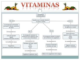 Vitaminas liposolubles