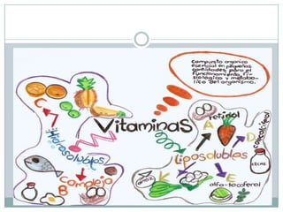 Vitaminas liposolubles
