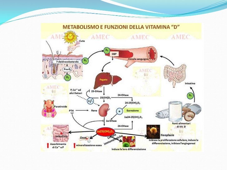 Como quitar rápidamente la agudización atopicheskogo de la dermatitis