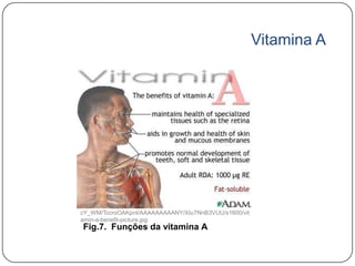 Vitamina A




http://3.bp.blogspot.com/-iXrZh-
cY_WM/TccroOAKpnI/AAAAAAAAANY/XIu7NnB3VUU/s1600/vit
amin-a-benefit-picture.jpg
Fig.7. Funções da vitamina A
 