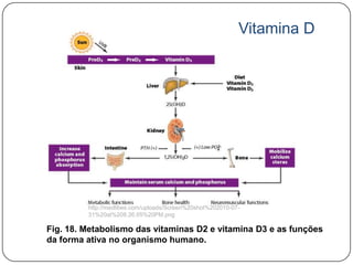 Vitamina D




         http://medlibes.com/uploads/Screen%20shot%202010-07-
         31%20at%208.26.05%20PM.png

Fig. 18. Metabolismo das vitaminas D2 e vitamina D3 e as funções
da forma ativa no organismo humano.
 