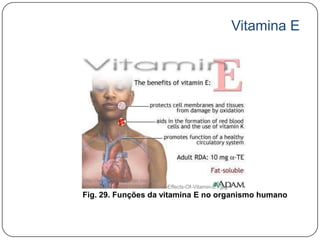 Vitamina E




http://www.doctortipster.com/wp-
content/uploads/2011/09/Beneficial-Effects-Of-Vitamin-E1.jpg
Fig. 29. Funções da vitamina E no organismo humano
 