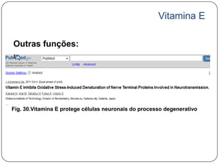Vitamina E

Outras funções:




Fig. 30.Vitamina E protege células neuronais do processo degenerativo
 