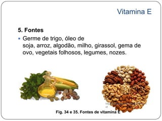Vitamina E

5. Fontes
 Germe de trigo, óleo de
  soja, arroz, algodão, milho, girassol, gema de
  ovo, vegetais folhosos, legumes, nozes.




    http://t1.gstatic.com/images
                                                   http://www.informacaonutricional.n
                                                   et

                         Fig. 34 e 35. Fontes de vitamina E
 