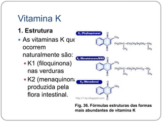 Vitamina K
1. Estrutura
 As vitaminas K que
  ocorrem
  naturalmente são:
   K1 (filoquinona)
    nas verduras
   K2 (menaquinona)
    produzida pela
    flora intestinal. http://1.bp.blogspot.com
                              Fig. 36. Fórmulas estruturas das formas
                              mais abundantes de vitamina K
 