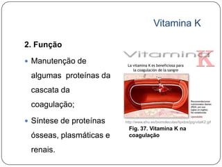 Vitamina K

2. Função

 Manutenção de

 algumas proteínas da
 cascata da
 coagulação;

 Síntese de proteínas   http://www.ehu.es/biomoleculas/lipidos/jpg/vitaK2.gif
                           Fig. 37. Vitamina K na
 ósseas, plasmáticas e     coagulação

 renais.
 