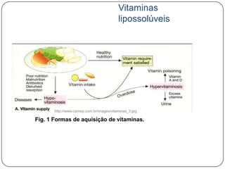 Vitaminas
                                          lipossolúveis




       http://www.camep.com.br/images/vitaminas_3.jpg

Fig. 1 Formas de aquisição de vitaminas.
 