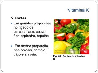 Vitamina K
5. Fontes
 Em grandes proporções
  no fígado de
  porco, alface, couve-
  flor, espinafre, repolho

 Em menor proporção
 nos cereais, como o          http://www.buzzle.com/img/articleImages/2741
                              48-924-59.jpg
 trigo e a aveia.            Fig. 46. Fontes de vitamina
                             K
 