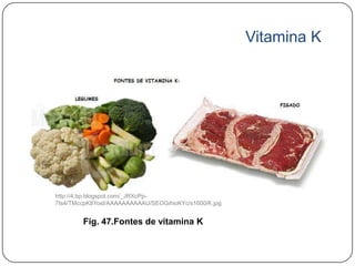 Vitamina K




http://4.bp.blogspot.com/_JRXcPp-
7ts4/TMccpK8YosI/AAAAAAAAAAU/SEOGihioKYc/s1600/K.jpg


        Fig. 47.Fontes de vitamina K
 