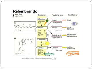 Relembrando
!




    http://www.camep.com.br/images/vitaminas_3.jpg
 