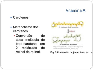 Vitamina A
 Carotenos


 Metabolismo dos
 carotenos
  Conversão           de
   cada molécula de
   beta-caroteno em
                              http://www.qmc.ufsc.br/qmcweb/artigos/vita
   2 moléculas de             minas/images/vitaminas_retinol.jpg

   retinol de retinol.      Fig. 5 Conversão de β-caroteno em reti
 