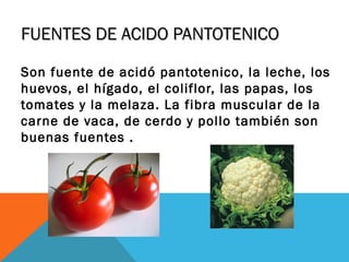 FUENTES DE ACIDO PANTOTENICOFUENTES DE ACIDO PANTOTENICO
Son fuente de acidó pantotenico, la leche, los
huevos, el hígado, el coliflor, las papas, los
tomates y la melaza. La fibra muscular de la
carne de vaca, de cerdo y pollo también son
buenas fuentes .
 