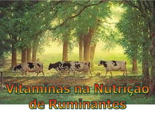 Vitaminas na Nutrição de Ruminantes
 