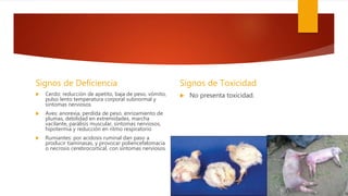 Signos de Deficiencia
 Cerdo: reducción de apetito, baja de peso, vómito,
pulso lento temperatura corporal subnormal y
síntomas nerviosos
 Aves: anorexia, perdida de peso, enrizamiento de
plumas, debilidad en extremidades, marcha
vacilante, parálisis muscular, síntomas nerviosos,
hipotermia y reducción en ritmo respiratorio
 Rumiantes: por acidosis ruminal dan paso a
producir tiaminasas, y provocar poliencefalomacia
o necrosis cerebrocortical, con síntomas nerviosos.
Signos de Toxicidad
 No presenta toxicidad.
 