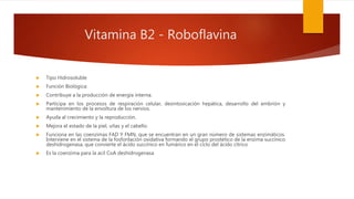 Vitamina B2 - Roboflavina
 Tipo Hidrosoluble
 Función Biológica:
 Contribuye a la producción de energía interna.
 Participa en los procesos de respiración celular, desintoxicación hepática, desarrollo del embrión y
mantenimiento de la envoltura de los nervios.
 Ayuda al crecimiento y la reproducción.
 Mejora el estado de la piel, uñas y el cabello.
 Funciona en las coenzimas FAD Y FMN, que se encuentran en un gran número de sistemas enzimáticos.
Interviene en el sistema de la fosforilación oxidativa formando el grupo prostético de la enzima succínico
deshidrogenasa, que convierte el ácido succínico en fumárico en el ciclo del ácido cítrico
 Es la coenzima para la acil CoA deshidrogenasa
 
