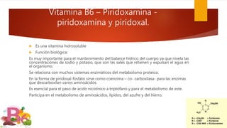 Vitamina B6 – Piridoxamina -
piridoxamina y piridoxal.
 Es una vitamina hidrosoluble
 Función biológica:
Es muy importante para el mantenimiento del balance hídrico del cuerpo ya que nivela las
concentraciones de sodio y potasio, que son las sales que retienen y expulsan el agua en
el organismo.
Se relaciona con muchos sistemas enzimáticos del metabolismo proteico.
En la forma de piridoxal-fosfato sirve como coenzima – co- carboxilasa- para las enzimas
que descarboxilan varios aminoácidos.
Es esencial para el paso de acido nicotínico a triptófano y para el metabolismo de este.
Participa en el metabolismo de aminoácidos, lípidos, del azufre y del hierro.
 