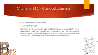 Vitamina B12 - Cianocobalamina
 Es una vitamina hidrosoluble
 Función biológica:
Interviene en la formación del metilmaloniCoA a succinilCoA, en el
metabolismo del ac. propiónico, importante en el crecimiento,
hematopoyesis y metabolismo proteico, actúa como grupo prostetico de
la enzima-B12, interviene en el metabolismo de la metionina.
 