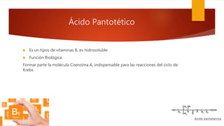 Ácido Pantotético
 Es un tipos de vitaminas B, es hidrosoluble
 Función Biológica:
Formar parte la molécula Coenzima A, indispensable para las reacciones del ciclo de
Krebs
 