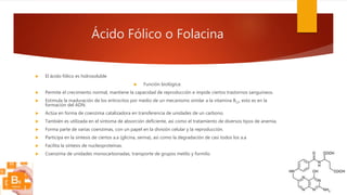 Ácido Fólico o Folacina
 El ácido fólico es hidrosoluble
 Función biológica:
 Permite el crecimiento normal, mantiene la capacidad de reproducción e impide ciertos trastornos sanguíneos.
 Estimula la maduración de los eritrocitos por medio de un mecanismo similar a la vitamina B12, esto es en la
formación del ADN.
 Actúa en forma de coenzima catalizadora en transferencia de unidades de un carbono.
 También es utilizada en el síntoma de absorción deficiente, así como el tratamiento de diversos tipos de anemia.
 Forma parte de varias coenzimas, con un papel en la división celular y la reproducción.
 Participa en la síntesis de ciertos a.a (glicina, serina), así como la degradación de casi todos los a.a
 Facilita la síntesis de nucleoproteínas.
 Coenzima de unidades monocarbonadas, transporte de grupos metilo y formilo.
 
