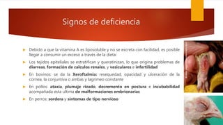 Signos de deficiencia
 Debido a que la vitamina A es liposoluble y no se excreta con facilidad, es posible
llegar a consumir un exceso a través de la dieta:
 Los tejidos epiteliales se estratifican y queratinizan, lo que origina problemas de
diarreas, formación de calculos renales, y vesiculares e infertilidad
 En bovinos: se da la Xeroftalmia: resequedad, opacidad y ulceración de la
cornea, la conjuntiva o ambas y lagrimeo constante
 En pollos: ataxia, plumaje rizado, decremento en postura e incubabilidad
acompañada esta ultima de malformaciones embrionarias
 En perros: sordera y síntomas de tipo nervioso
 