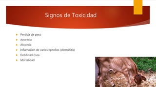 Signos de Toxicidad
 Perdida de peso
 Anorexia
 Alopecia
 Inflamación de varios epitelios (dermatitis)
 Debilidad ósea
 Mortalidad
 