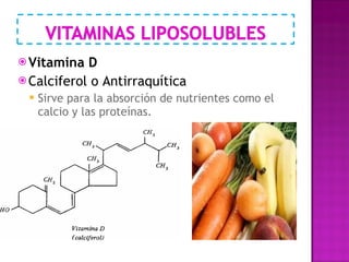 Vitamina D Calciferol o Antirraquítica Sirve para la absorción de nutrientes como el calcio y las proteínas. 