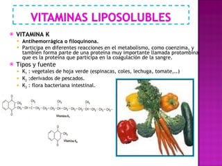 VITAMINA K   Antihemorrágica o filoquinona. Participa en diferentes reacciones en el metabolismo, como coenzima, y también forma parte de una proteína muy importante llamada protombina que es la proteína que participa en la coagulación de la sangre. Tipos y fuente  K 1  : vegetales de hoja verde (espinacas, coles, lechuga, tomate,..) K 2  :derivados de pescados. K 3  : flora bacteriana intestinal. 