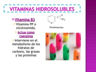 Vitamina B3 Vitamina PP o nicotinamida. Actua como coenzima Interviene en el metabolismo de los hidratos de carbono, las grasas y las proteínas 