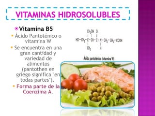 Vitamina B5 Ácido Pantoténico o vitamina W Se encuentra en una gran cantidad y variedad de alimentos (pantothen en griego significa "en todas partes").  Forma parte de la Coenzima A . 
