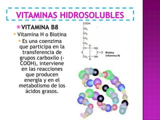 VITAMINA B8 Vitamina H o Biotina Es una coenzima que participa en la transferencia de grupos carboxilo (-COOH), interviene en las reacciones que producen energía y en el metabolismo de los ácidos grasos. 