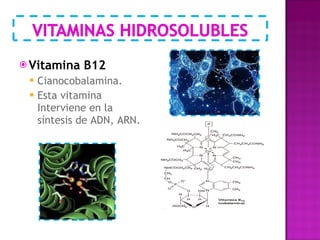 Vitamina B12 Cianocobalamina.  Esta vitamina Interviene en la síntesis de ADN, ARN. 