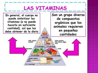 Son un grupo diverso de compuestos orgánicos que los animales requieren en pequeñas cantidades En general, el cuerpo no puede sintetizar las vitaminas (o no puede hacerlo en suficiente cantidad), así que las debe obtener de la dieta 