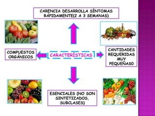 CARACTERÍSTICAS COMPUESTOS ORGÁNICOS CANTIDADES REQUERIDAS MUY PEQUEÑAS0 CARENCIA DESARROLLA SÍNTOMAS RÁPIDAMENTE(2 A 3 SEMANAS) ESENCIALES (NO SON SINTETIZADOS, SUBCLASES) 