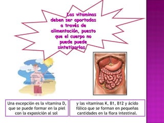 Las vitaminas deben ser aportadas a través de alimentación, puesto que el cuerpo no puede puede sintetizarlas.  Una excepción es la vitamina D, que se puede formar en la piel con la exposición al sol  y las vitaminas K, B1, B12 y ácido fólico que se forman en pequeñas cantidades en la flora intestinal. 