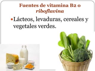 Fuentes de vitamina B2 o riboflavinaLácteos, levaduras, cereales y vegetales verdes.