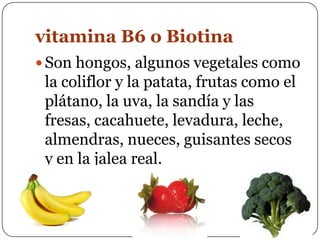 vitamina B6 o BiotinaSon hongos, algunos vegetales como la coliflor y la patata, frutas como el plátano, la uva, la sandía y las fresas, cacahuete, levadura, leche, almendras, nueces, guisantes secos y en la jalea real.