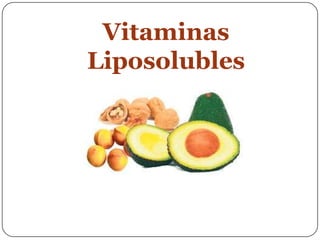 Vitaminas Liposolubles 