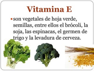 Vitamina Eson vegetales de hoja verde, semillas, entre ellos el brócoli, la soja, las espinacas, el germen de trigo y la levadura de cerveza.