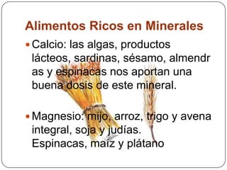Alimentos Ricos en MineralesCalcio: las algas, productos lácteos, sardinas, sésamo, almendras y espinacas nos aportan una buena dosis de este mineral. Magnesio: mijo, arroz, trigo y avena integral, soja y judías. Espinacas, maíz y plátano