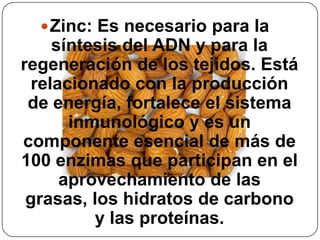 Zinc: Es necesario para la síntesis del ADN y para la regeneración de los tejidos. Está relacionado con la producción de energía, fortalece el sistema inmunológico y es un componente esencial de más de 100 enzimas que participan en el aprovechamiento de las grasas, los hidratos de carbono y las proteínas.