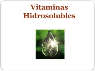 Vitaminas Hidrosolubles