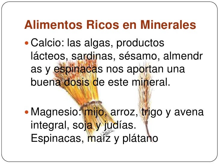 alimentos que contienen sales minerales vitaminas y minerales alimentos que contienen sales minerales vitaminas y minerales