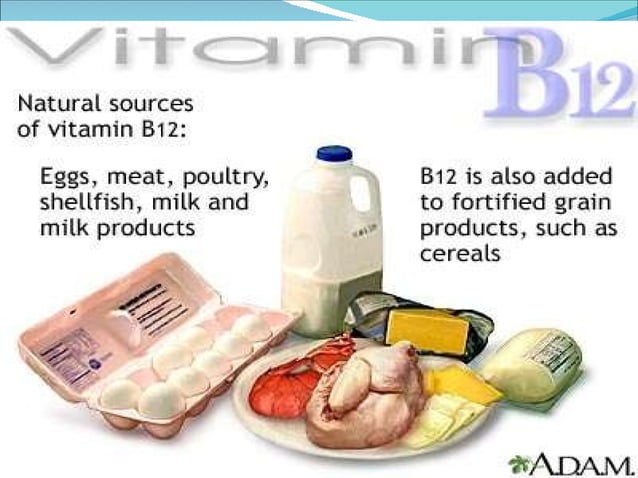 Vitamin B | PPT