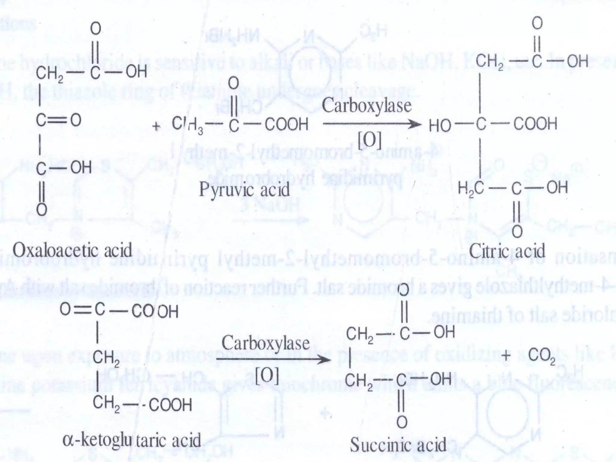 VITAMIN B1 [THIAMINE] MEDICINAL CHEMISTRY BY P. RAVISANKAR [ SOURCE ...