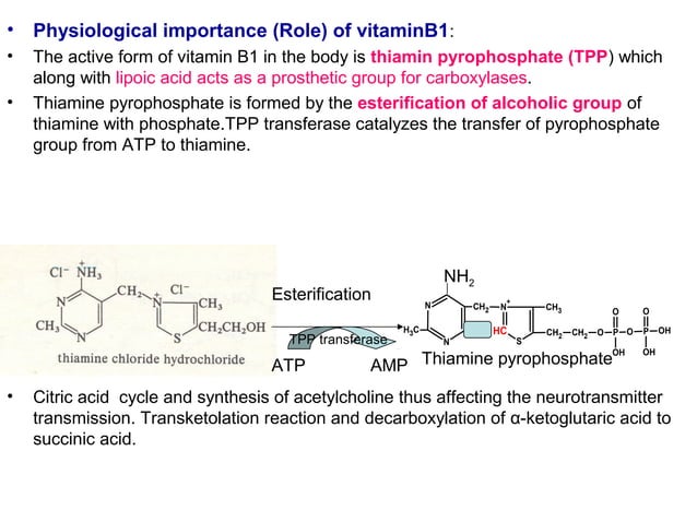 VITAMIN B1 [THIAMINE] MEDICINAL CHEMISTRY BY P. RAVISANKAR [ SOURCE ...