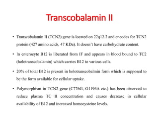 Transcobalamin II 
• Transcobalamin II (TCN2) gene is located on 22q12.2 and encodes for TCN2 
protein (427 amino acids, 47 KDa). It doesn’t have carbohydrate content. 
• In enterocyte B12 is liberated from IF and appears in blood bound to TC2 
(holotranscobalamin) which carries B12 to various cells. 
• 20% of total B12 is present in holotranscobalmin form which is supposed to 
be the form available for cellular uptake. 
• Polymorphism in TCN2 gene (C776G, G1196A etc.) has been observed to 
reduce plasma TC II concentration and causes decrease in cellular 
availability of B12 and increased homocysteine levels. 
 