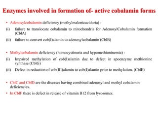 Enzymes involved in formation of- active cobalamin forms 
• Adenosylcobalamin deficiency (methylmalonicaciduria) - 
(i) failure to translocate cobalamin to mitochondria for AdenosylCobalamin formation 
(CblA) 
(ii) failure to convert cob(I)alamin to adenosylcobalamin (CblB) 
• Methylcobalamin deficiency (homocystinuria and hypomethioninemia) - 
(i) Impaired methylation of cob(I)alamin due to defect in apoenzyme methionine 
synthase (CblG) 
(ii) Defect in reduction of cob(III)alamin to cob(I)alamin prior to methylation. (CblE) 
• CblC and CblD are the diseases having combined adenosyl and methyl cobalamin 
deficiencies. 
• In CblF there is defect in release of vitamin B12 from lysosomes. 
 