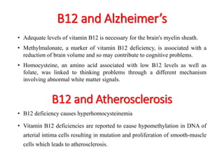 B12 and Alzheimer’s 
• Adequate levels of vitamin B12 is necessary for the brain's myelin sheath. 
• Methylmalonate, a marker of vitamin B12 deficiency, is associated with a 
reduction of brain volume and so may contribute to cognitive problems. 
• Homocysteine, an amino acid associated with low B12 levels as well as 
folate, was linked to thinking problems through a different mechanism 
involving abnormal white matter signals. 
B12 and Atherosclerosis 
• B12 deficiency causes hyperhomocysteinemia 
• Vitamin B12 deficiencies are reported to cause hypomethylation in DNA of 
arterial intima cells resulting in mutation and proliferation of smooth-muscle 
cells which leads to atherosclerosis. 
 