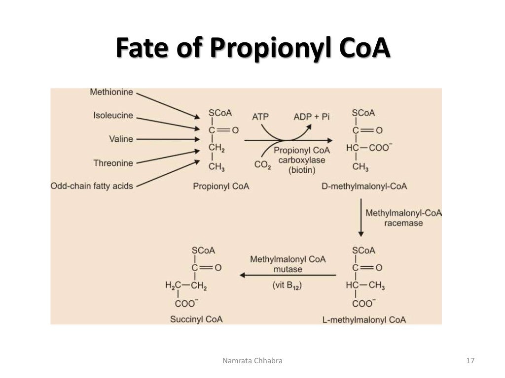 Vitamin B12 Chemistry, functions and clinical significance